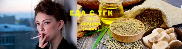 хмурый Абаза