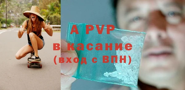 хмурый Абаза