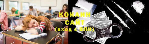 хмурый Абаза