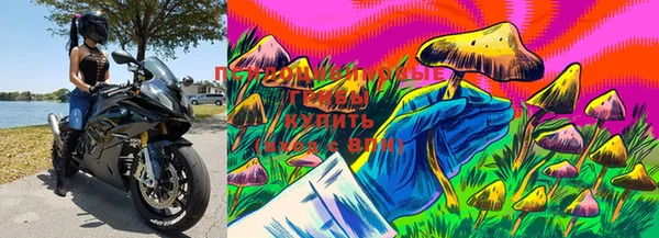 круглые Абдулино