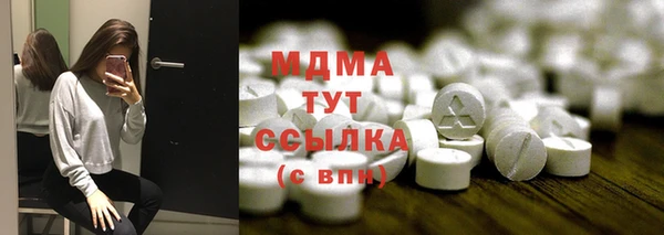 хмурый Абаза