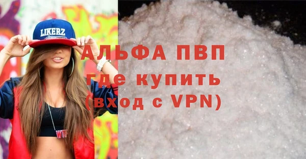 хмурый Абаза