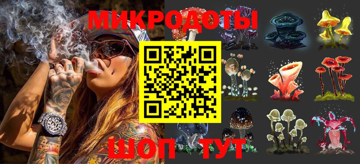 Псилоцибиновые грибы Psilocybine cubensis  Вход с VPN  Галлюциногенные грибы Psilocybine cubensis  Алатырь 