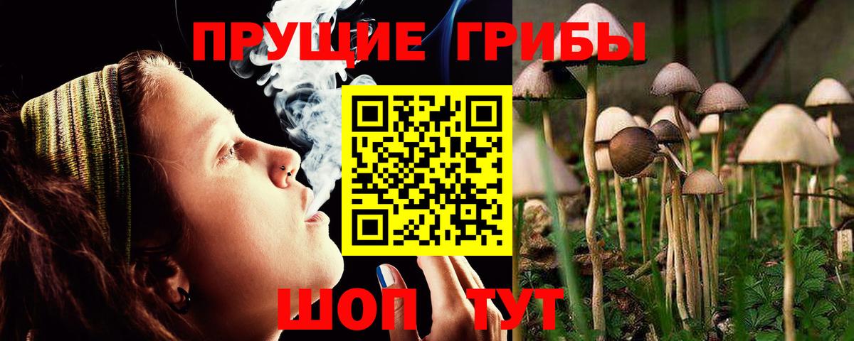 Галлюциногенные грибы ЛСД Алатырь